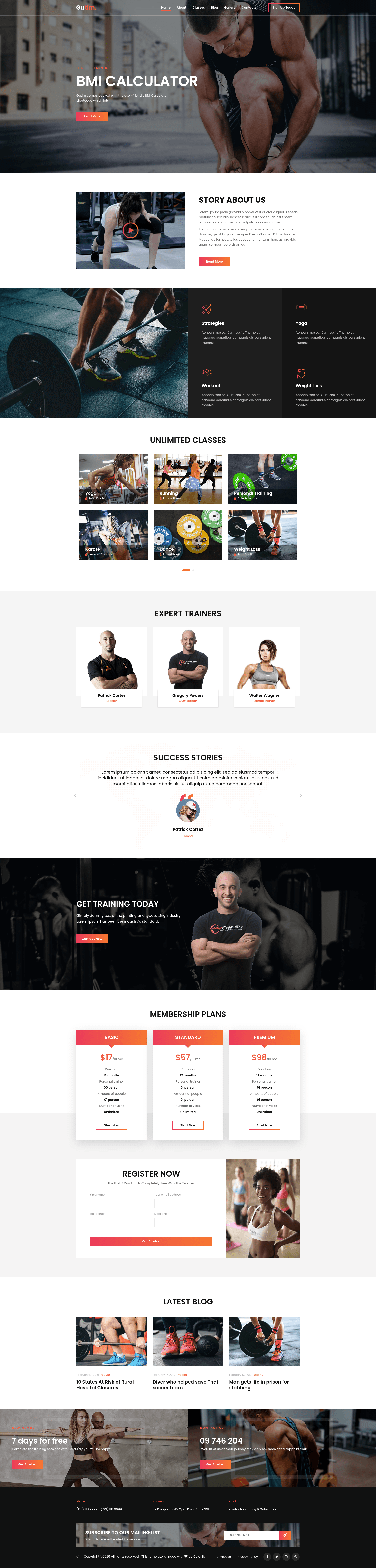 screenshot of Gutim on template0.com