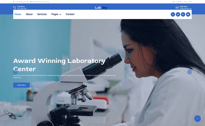Image for Labsky on template0.com