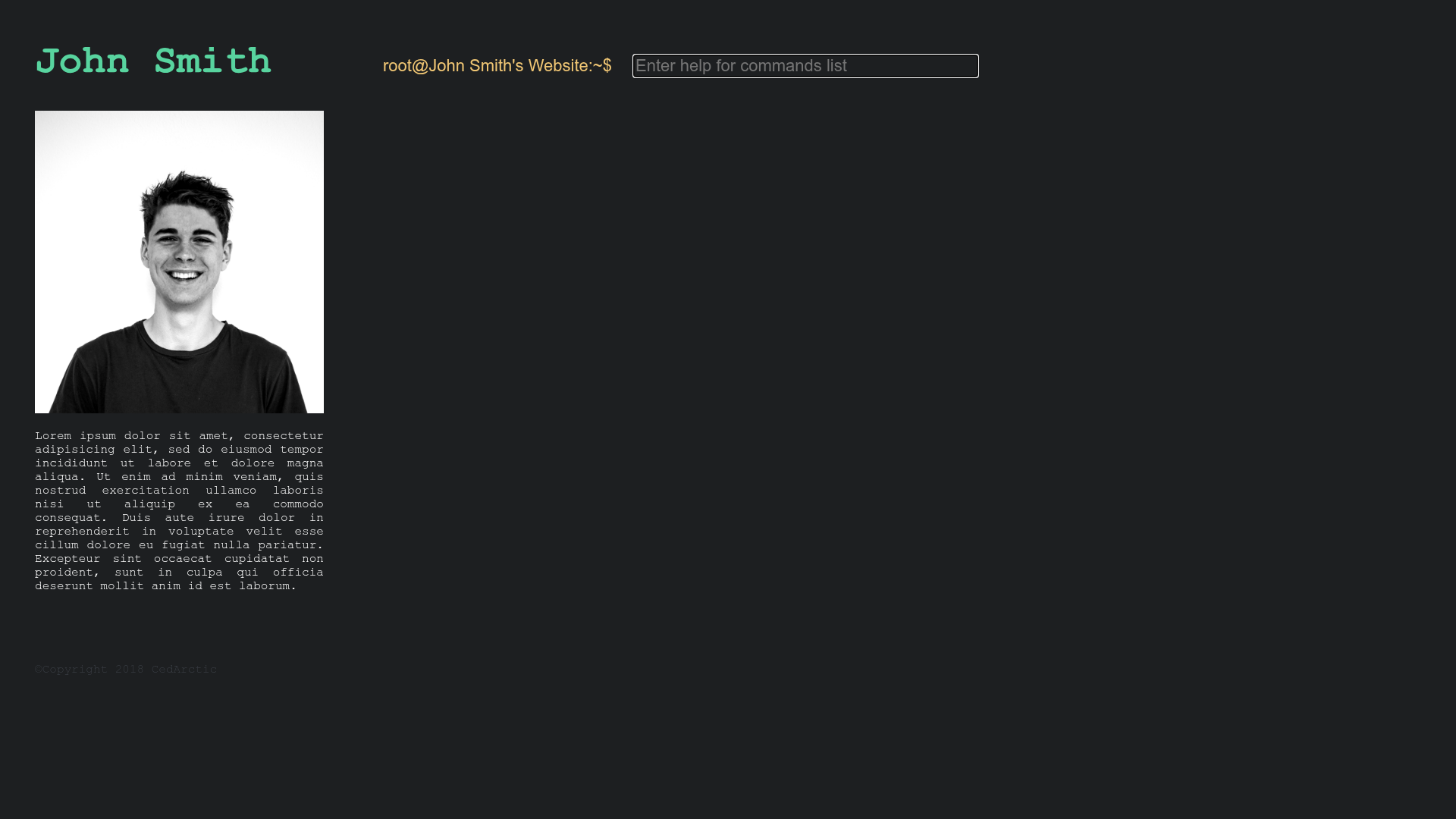 screenshot of bash-CV on template0.com