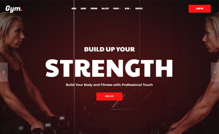 Image for Gym2 on template0.com