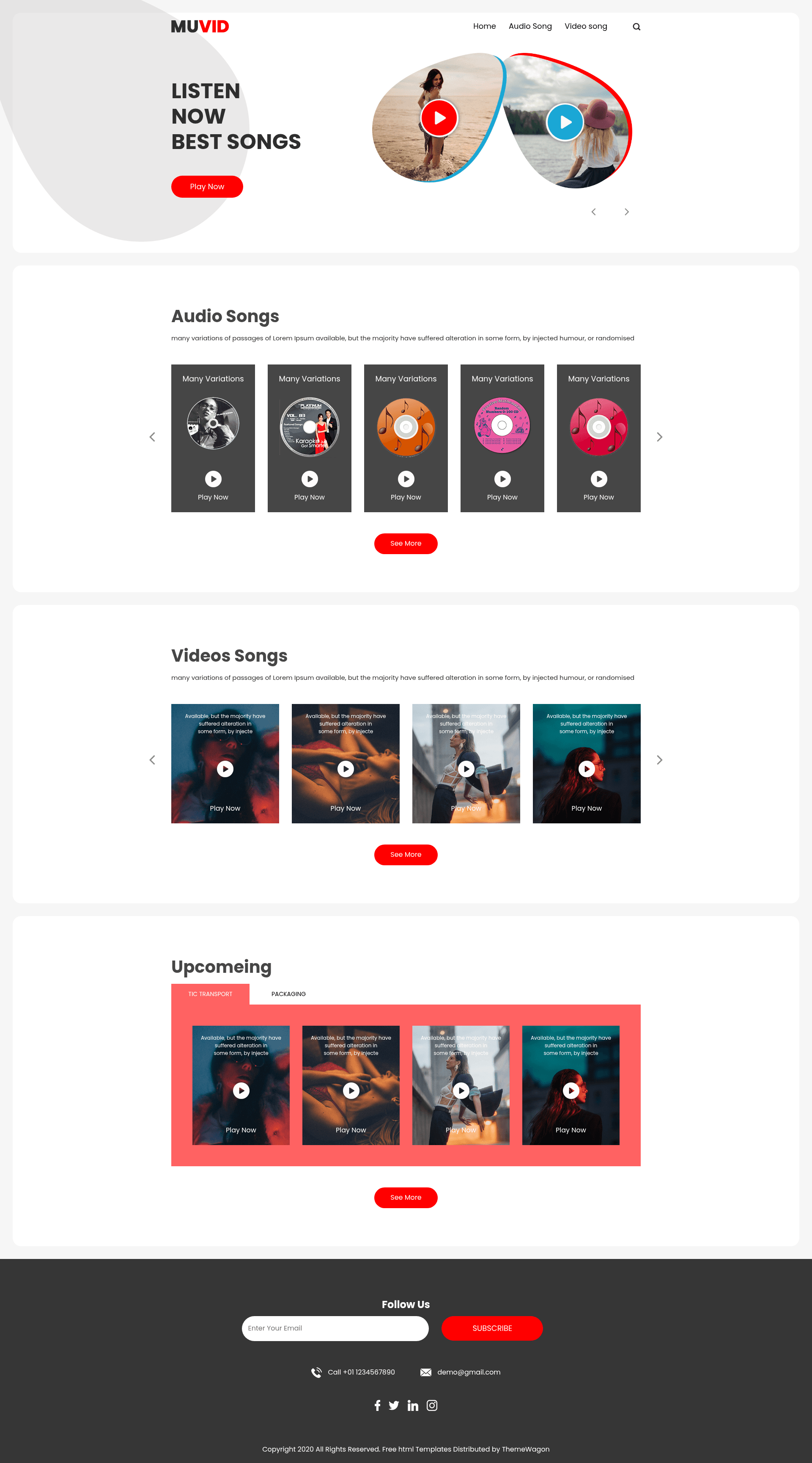 screenshot of Muvid on template0.com