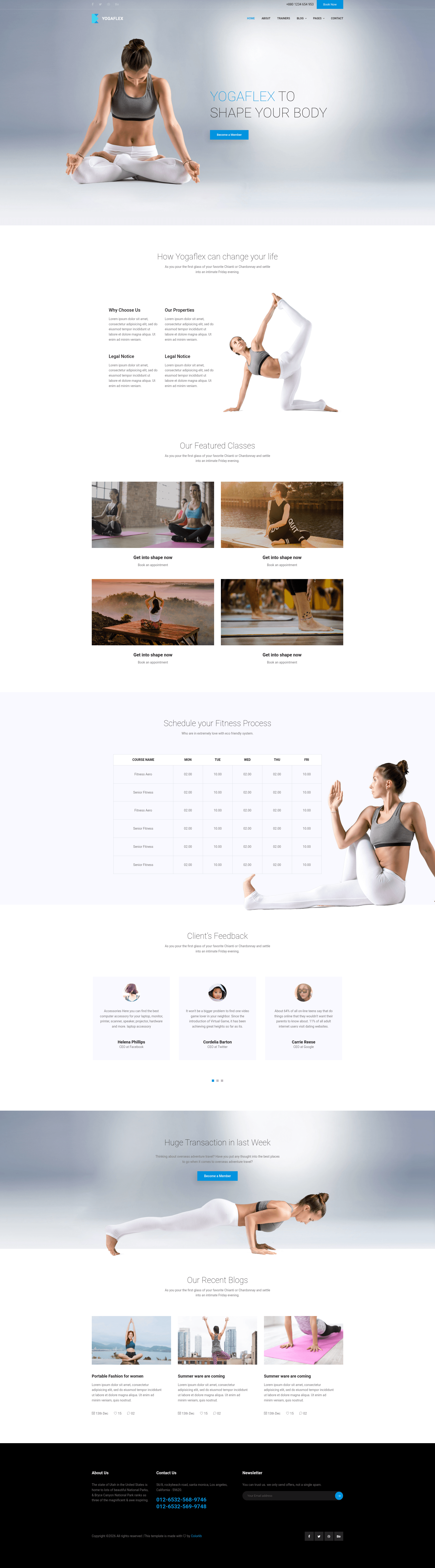 screenshot of Yogaflex on template0.com