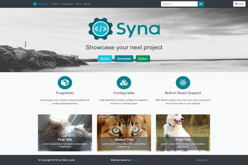 Image for Syna on template0.com Image for Syna on template0.com