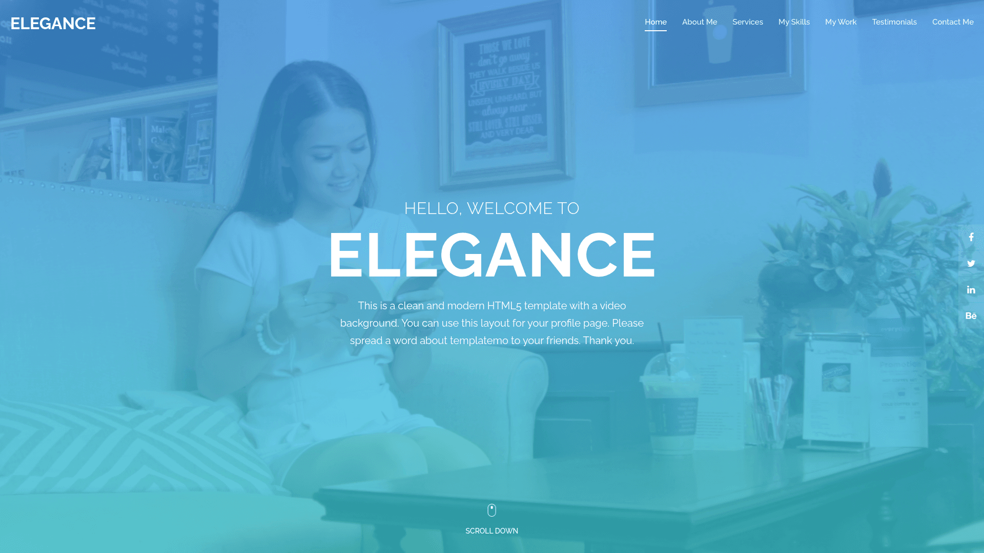 screenshot of Elegence on template0.com