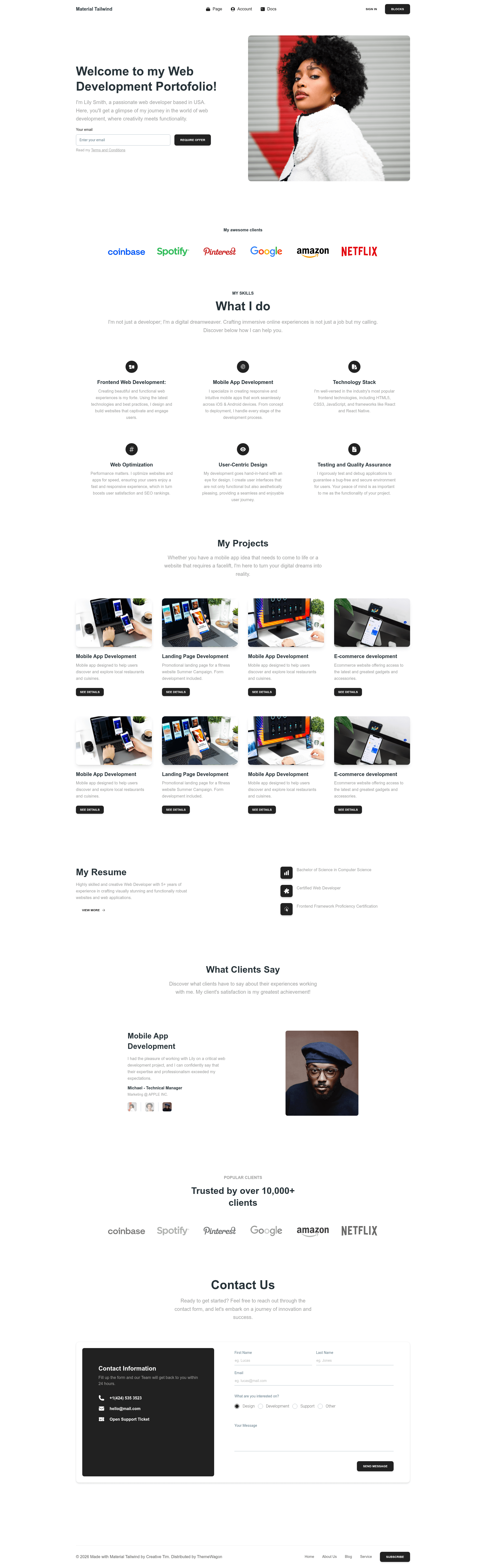 screenshot of Portfolio Page on template0.com