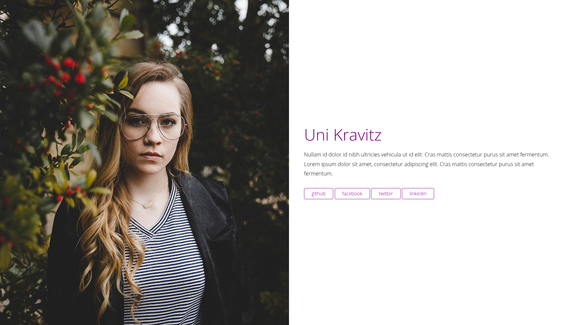 screenshot of Uni on template0.com