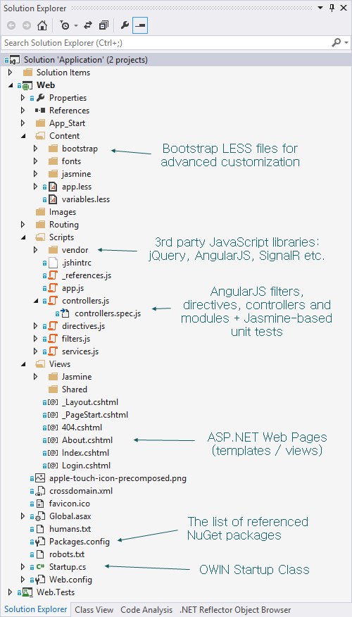 Image for AngularJS SPA Template for Visual Studio on template0.com
