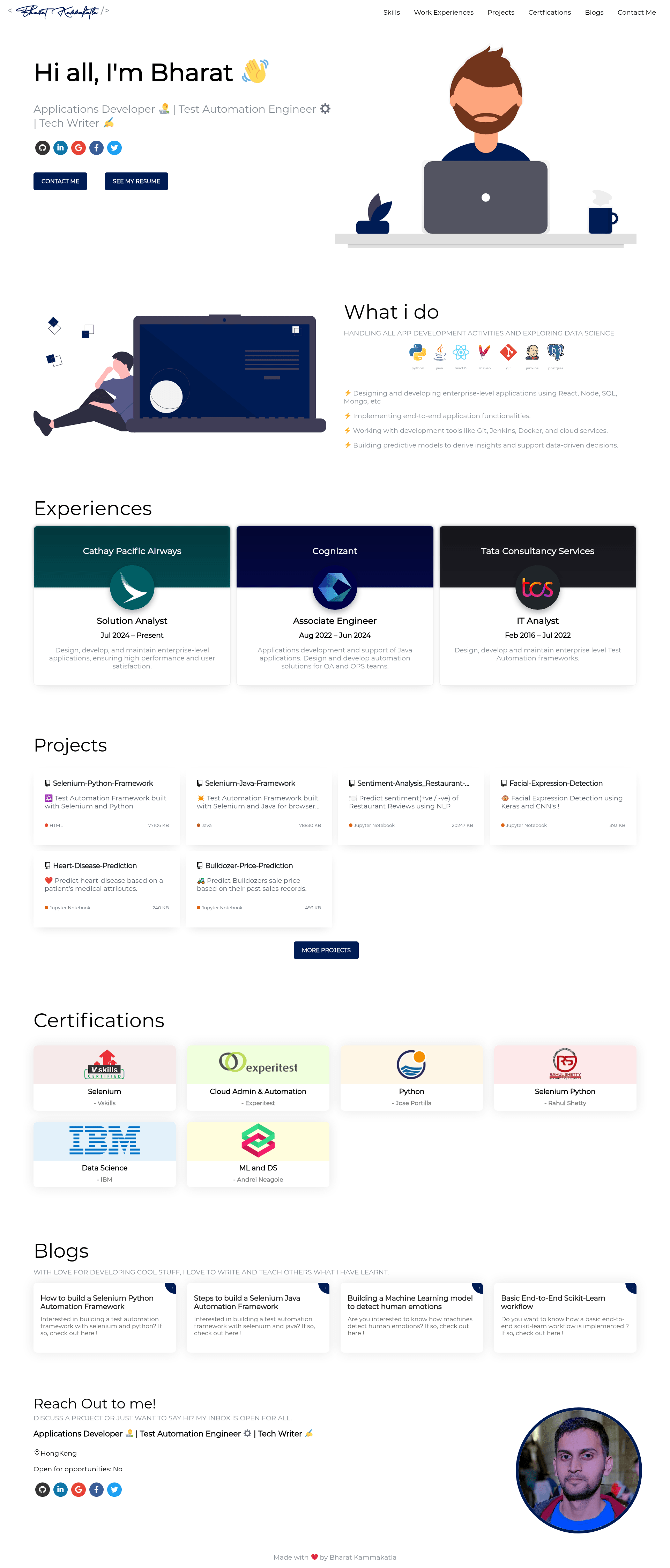 screenshot of DeveloperFolio on template0.com