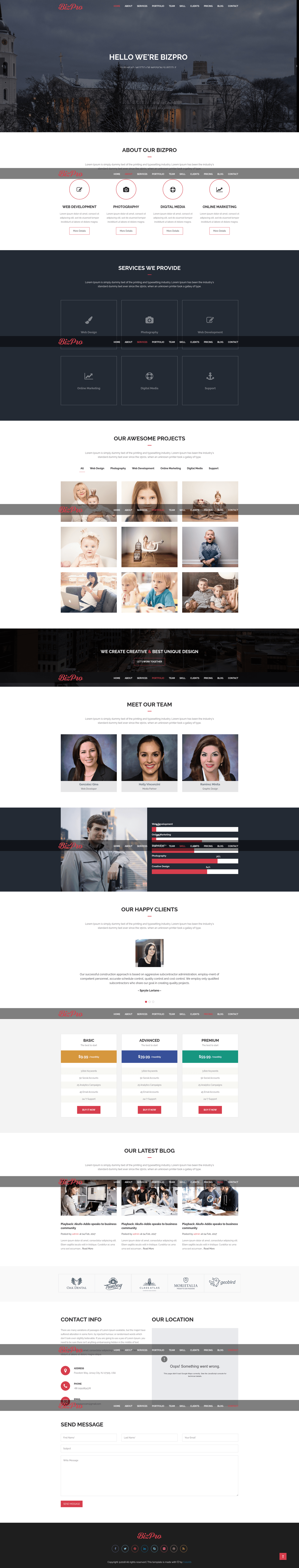 screenshot of BizPro on template0.com