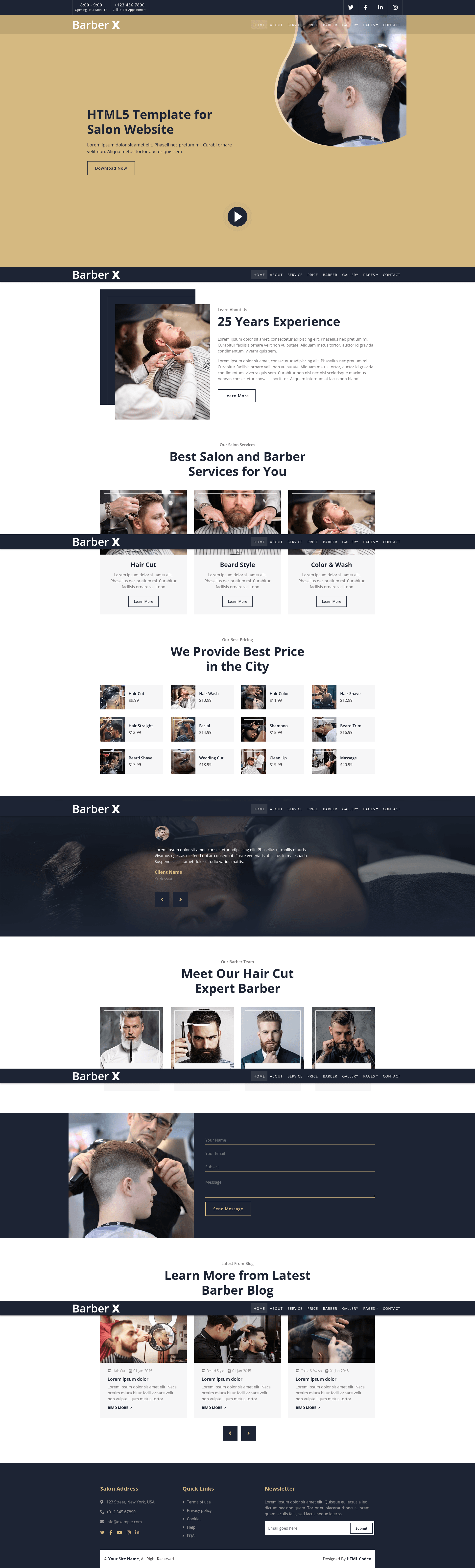 screenshot of BarberX on template0.com
