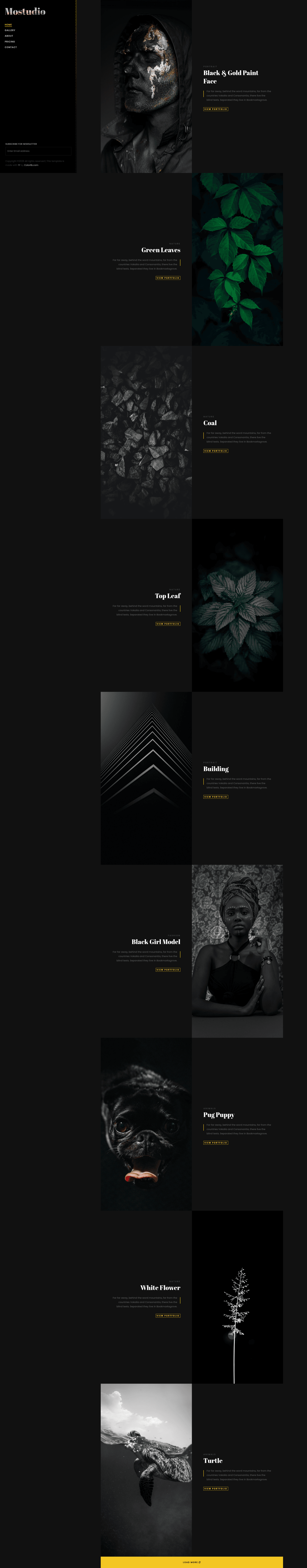 screenshot of Mostudio on template0.com