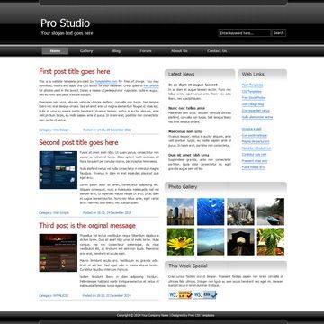 Image for Pro Studio Template on template0.com