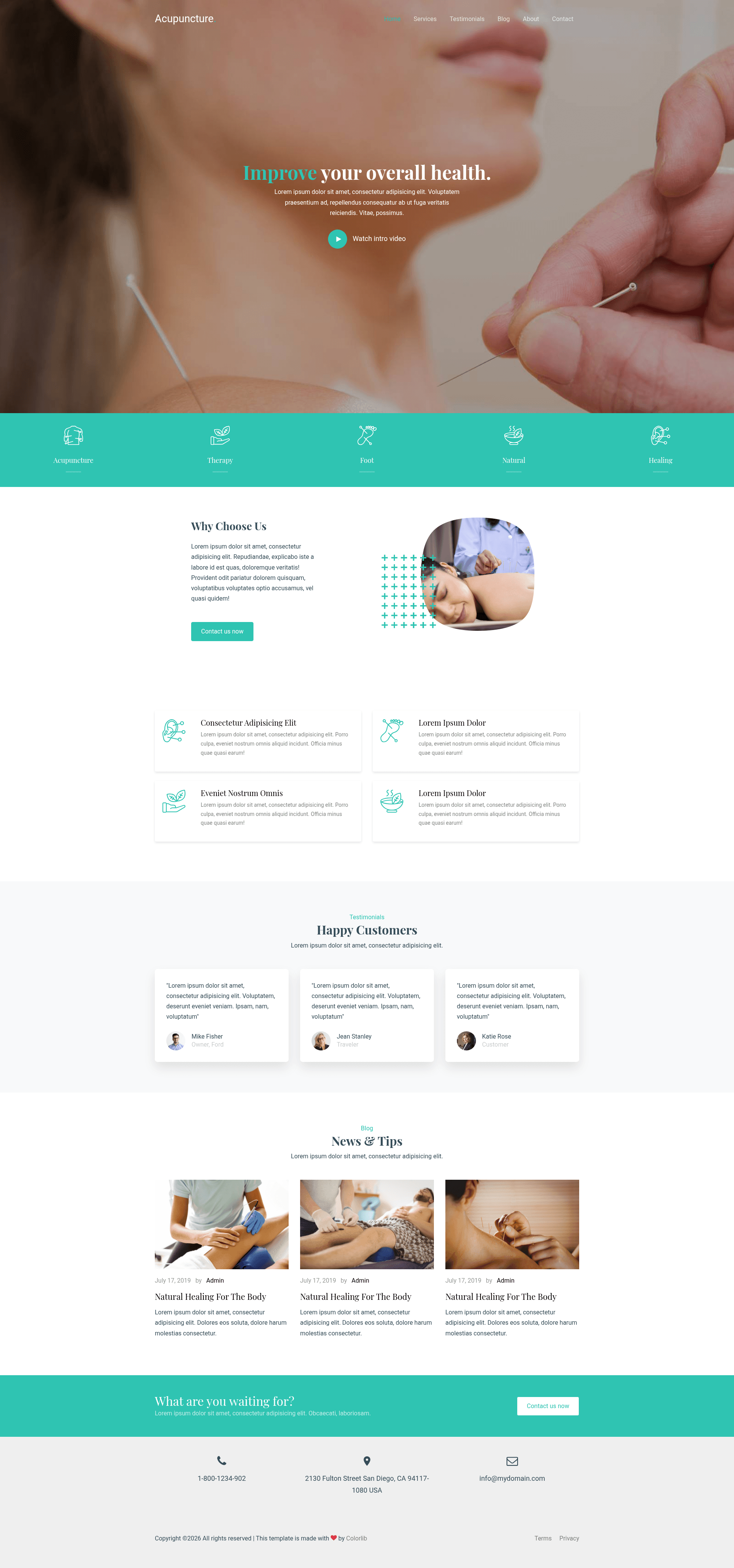 screenshot of Acupuncture on template0.com