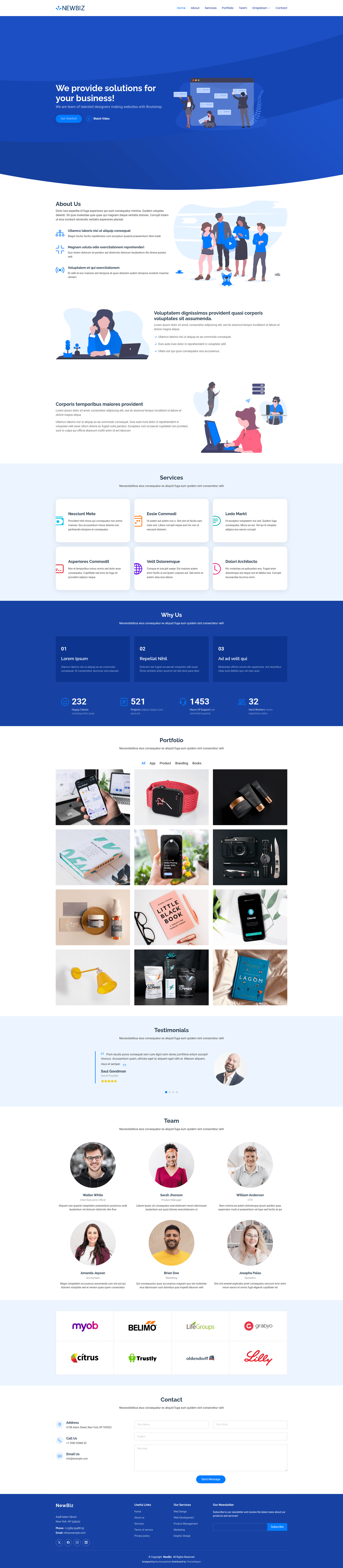 screenshot of NewBiz on template0.com