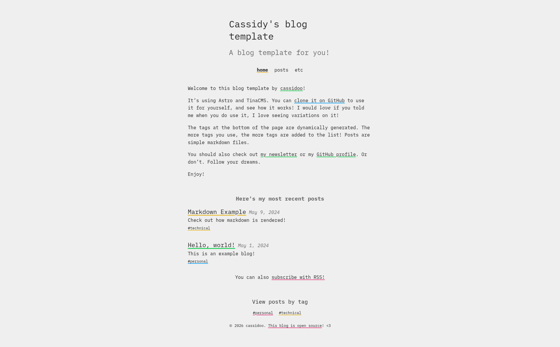 screenshot of Cassidy's blog template on template0.com