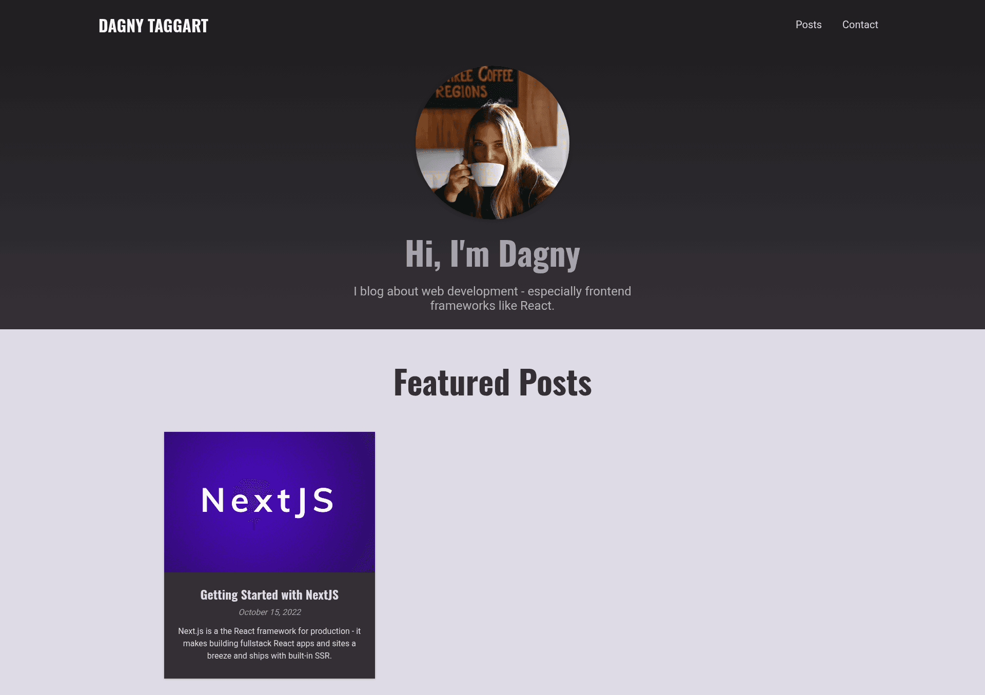 screenshot of Next.js Projects on template0.com