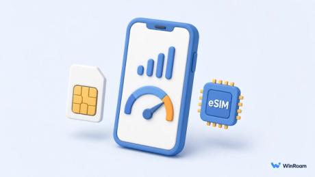 手机信号与 eSIM 示意图，代表回国上网常见问题解答