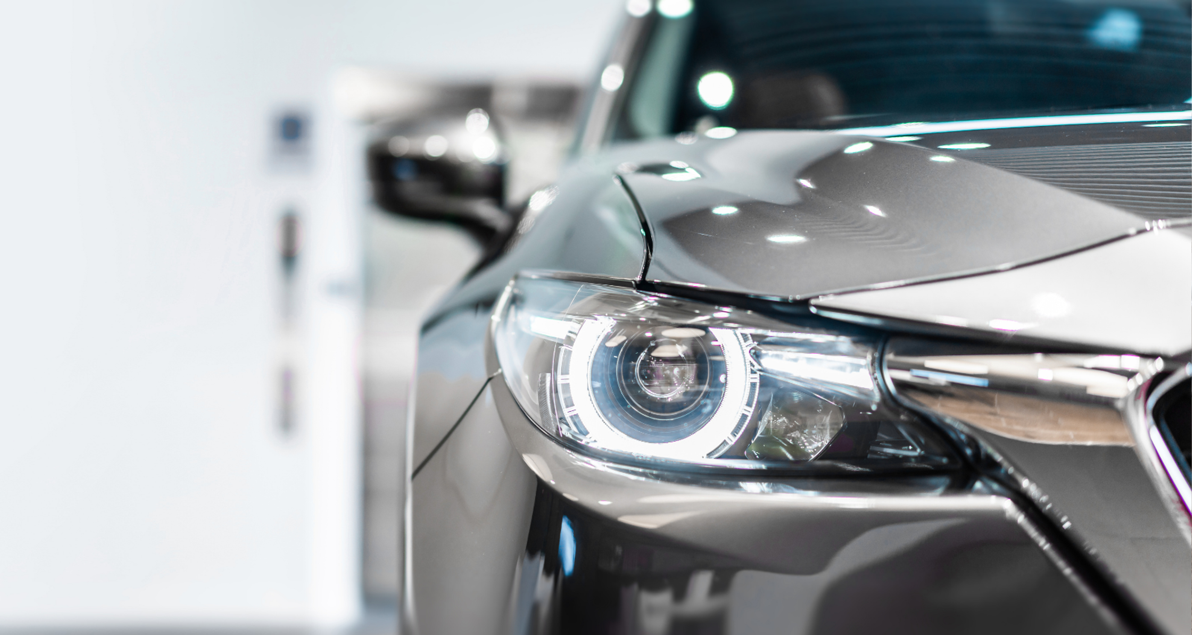 showroom ephemere voiture