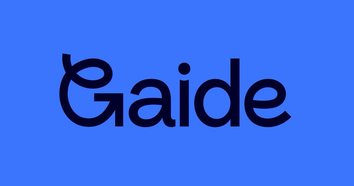 Gaide - Ai Consultancy & Development — photo from the business website