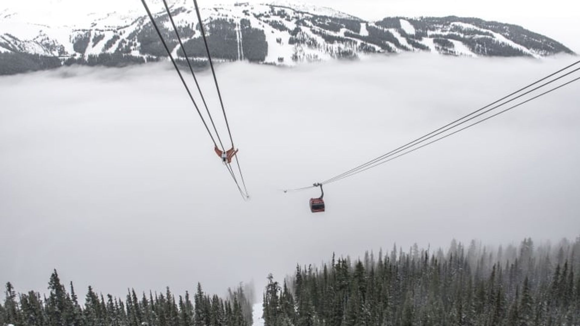 Snow Report Jan 11: Whistler Blackcomb Tops Charts