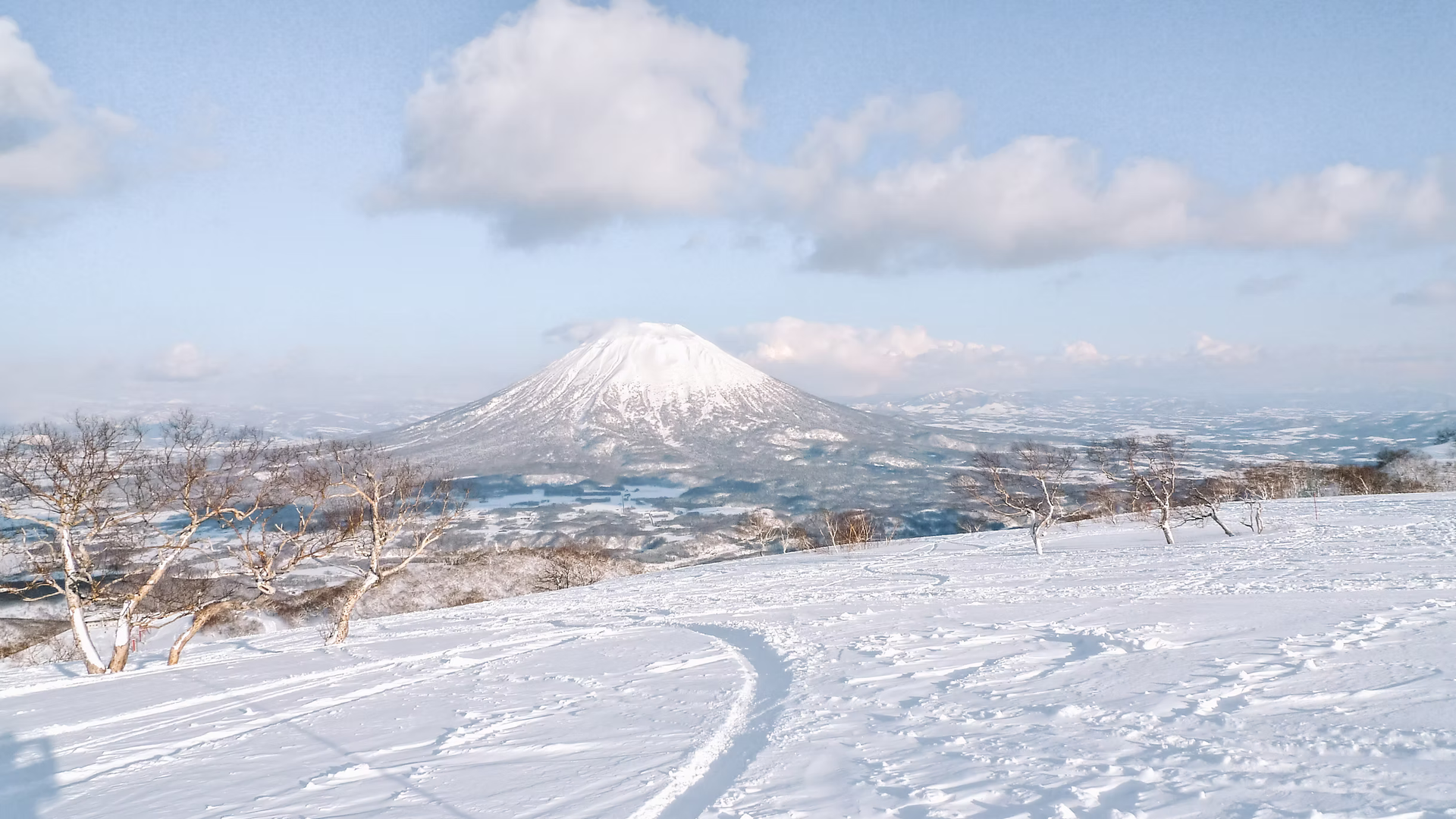 Snow Report Jan 13: Niseko Grand Hirafu Leads