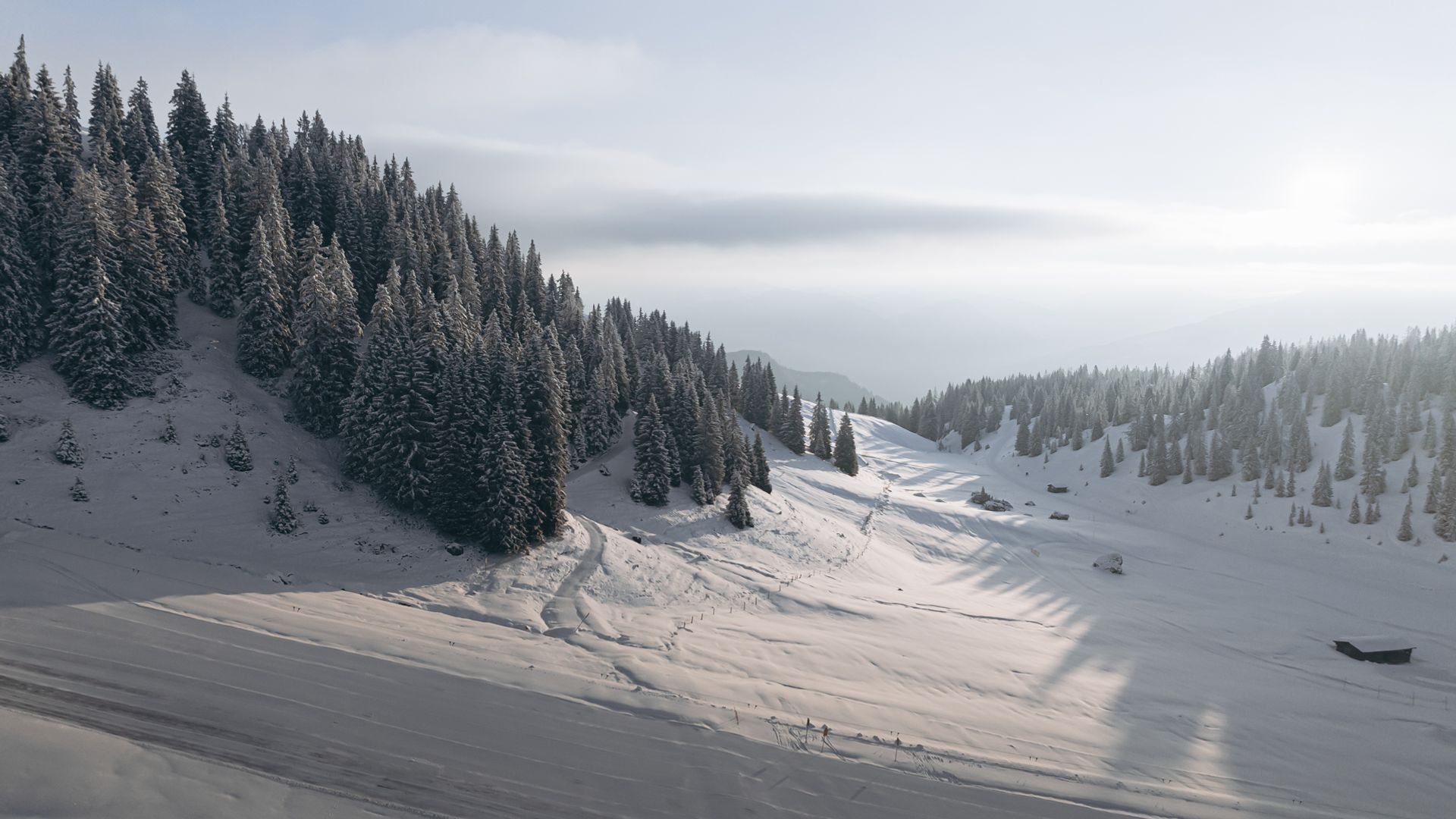 Snow Report Feb 24: Best Snow Worldwide