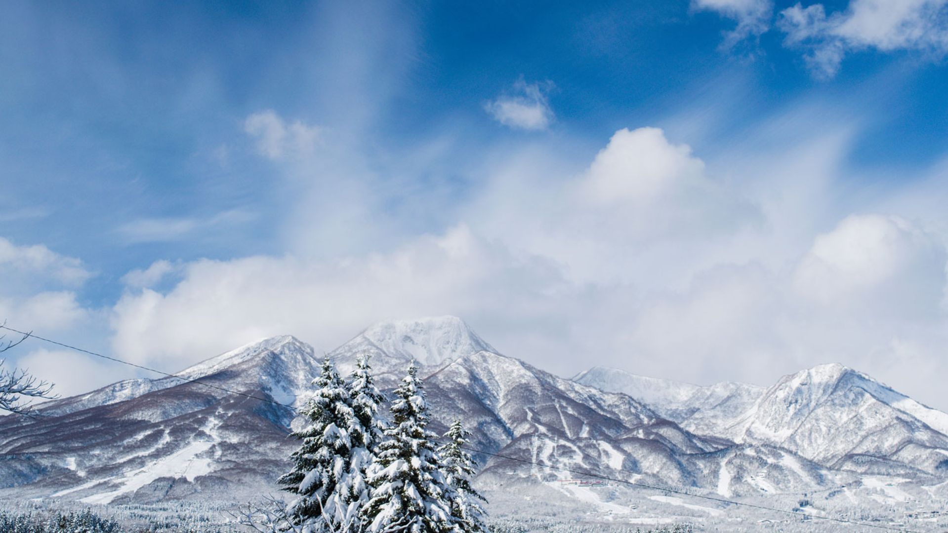 Snow Report Jan 24: Europe's Top Resorts Shine