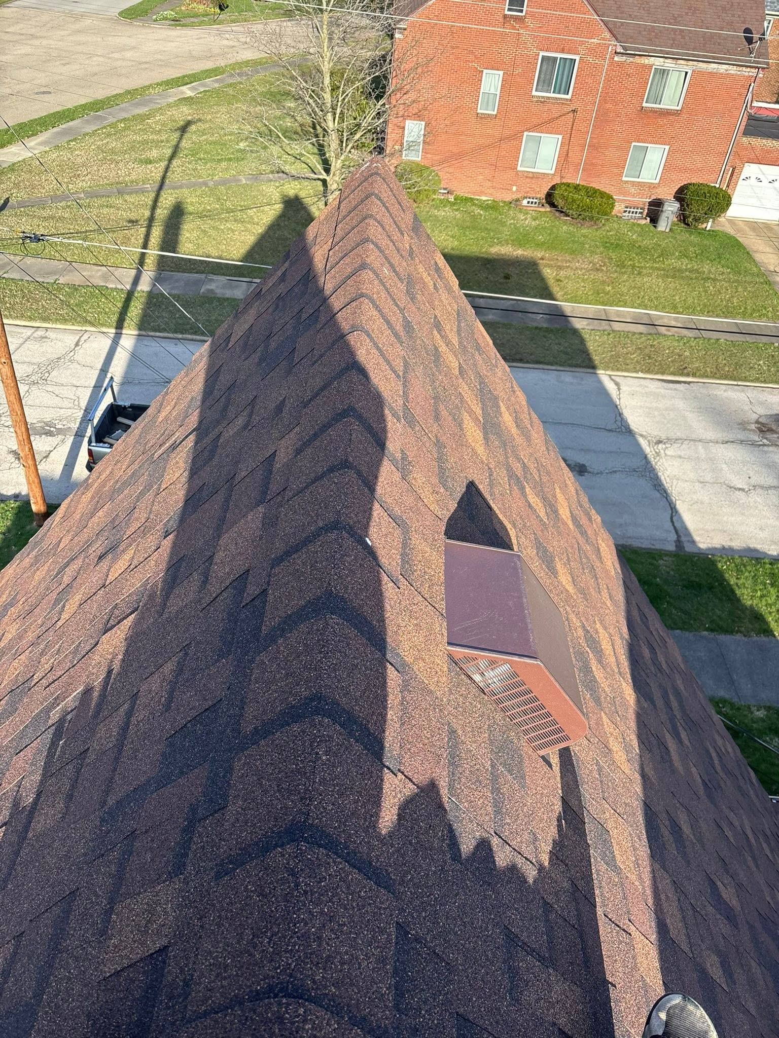 A new brown shingle roof, seen from its peak