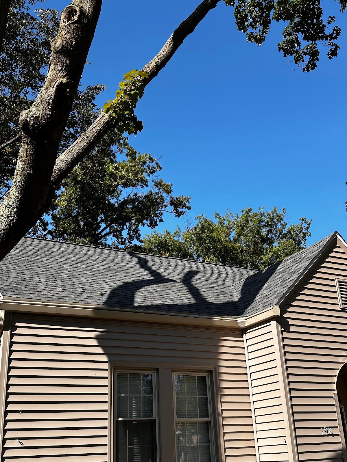 A shingle roof and its gutter along the eave of a sided house
