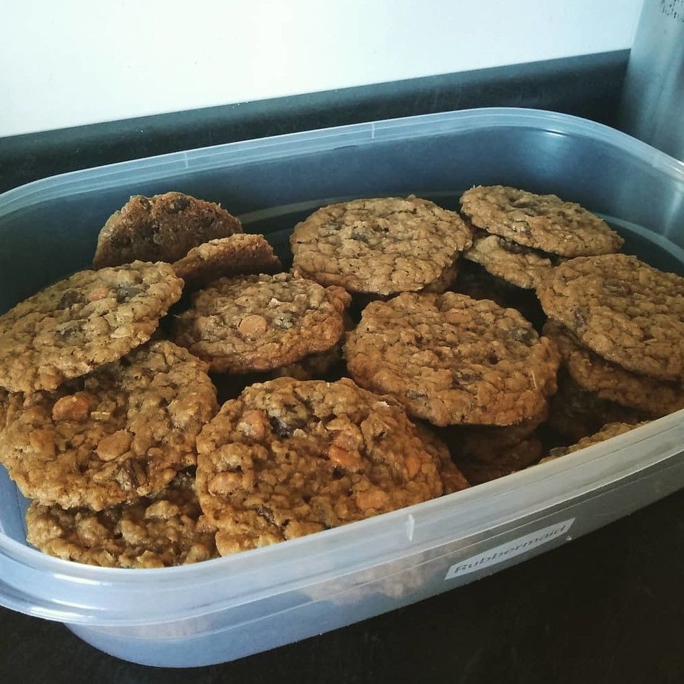 Chewy Oatmeal Chocolate Chip Cookies