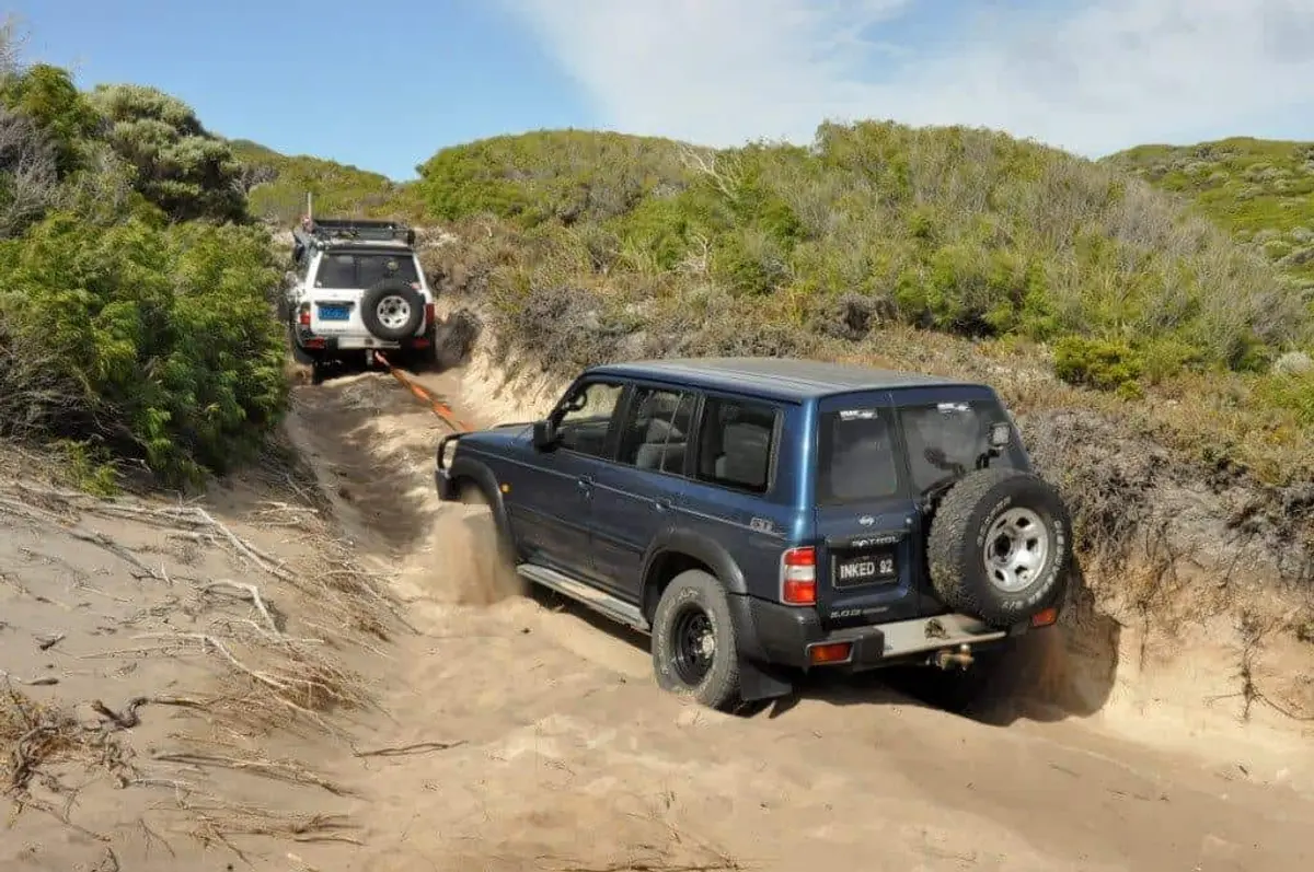 Bogged Patrol Albany