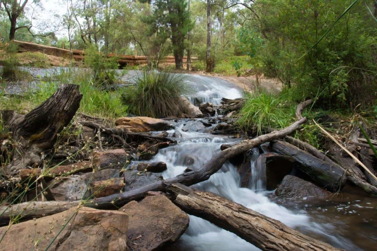 Lane Poole Reserve creeks