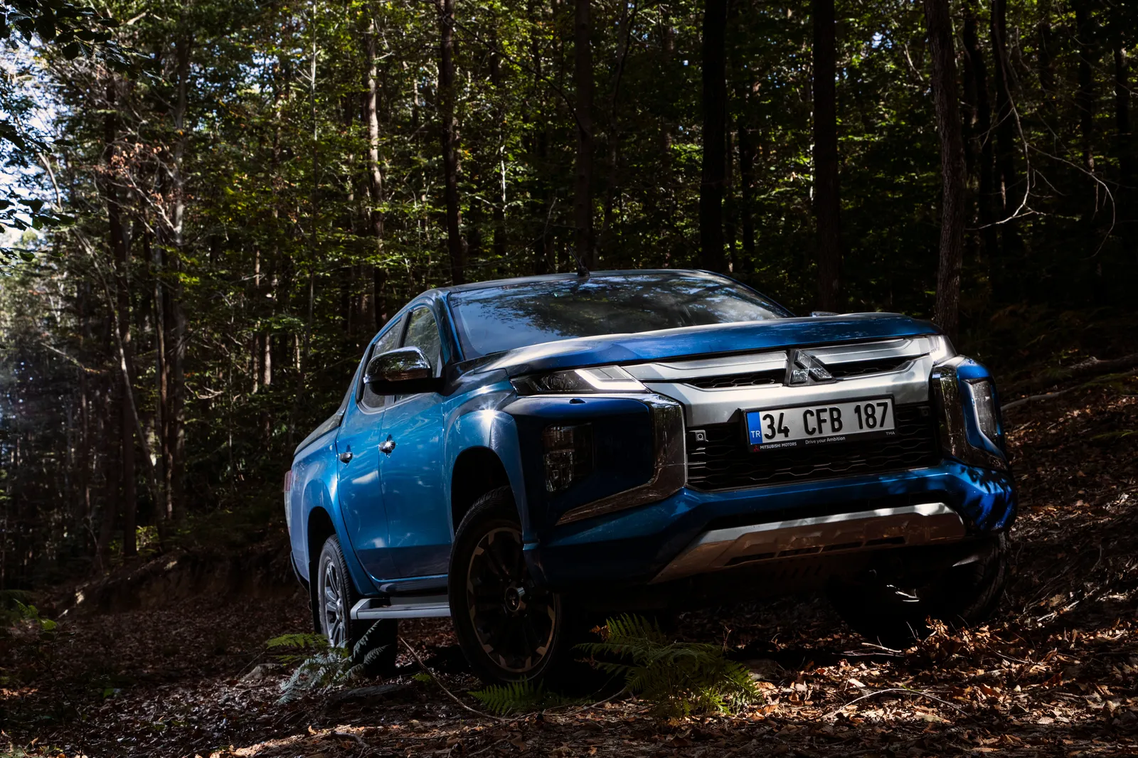 mitsubishi triton photographed in a forest