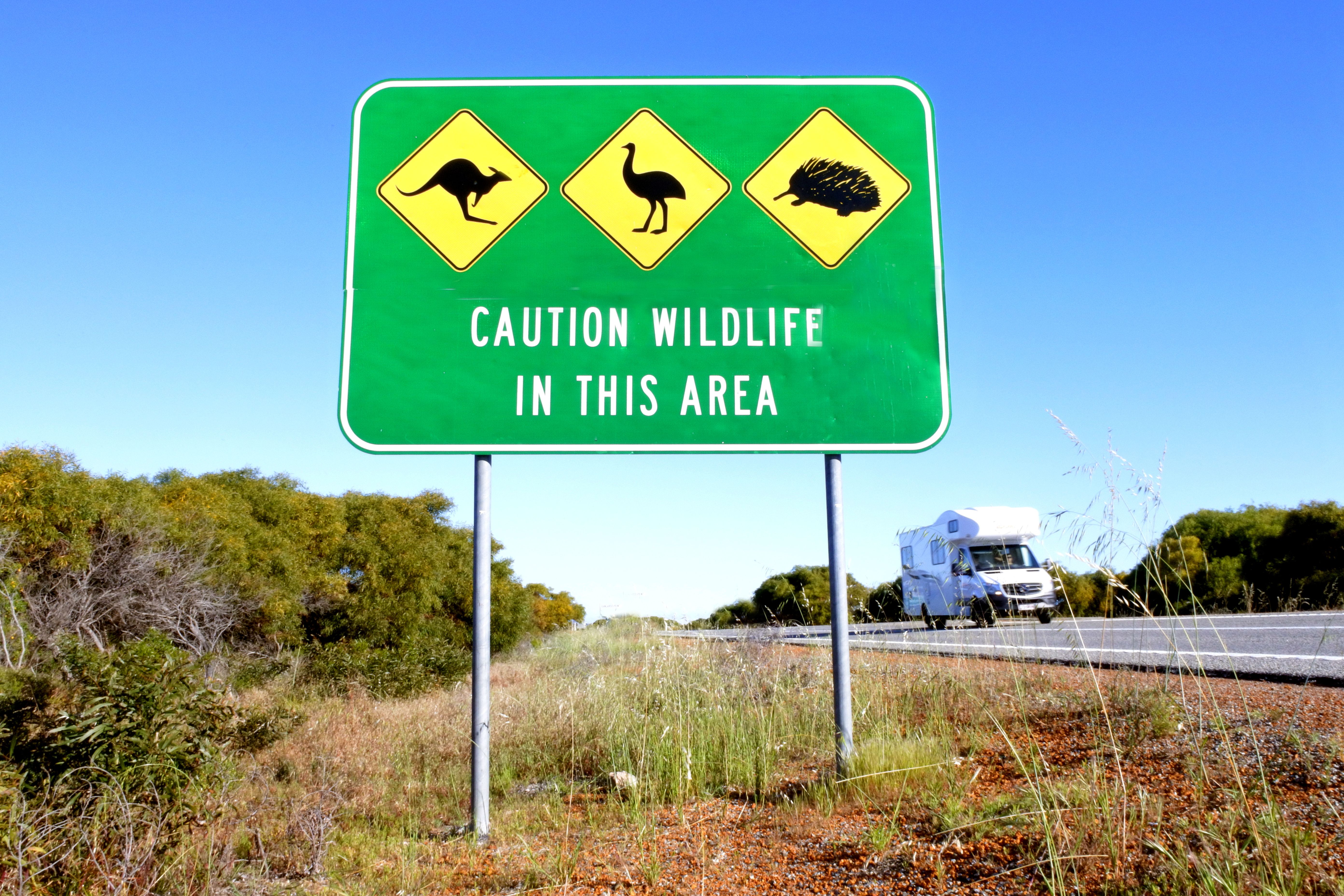 Wildlife caution sign in Outback Australia with a motorhome driving behind it