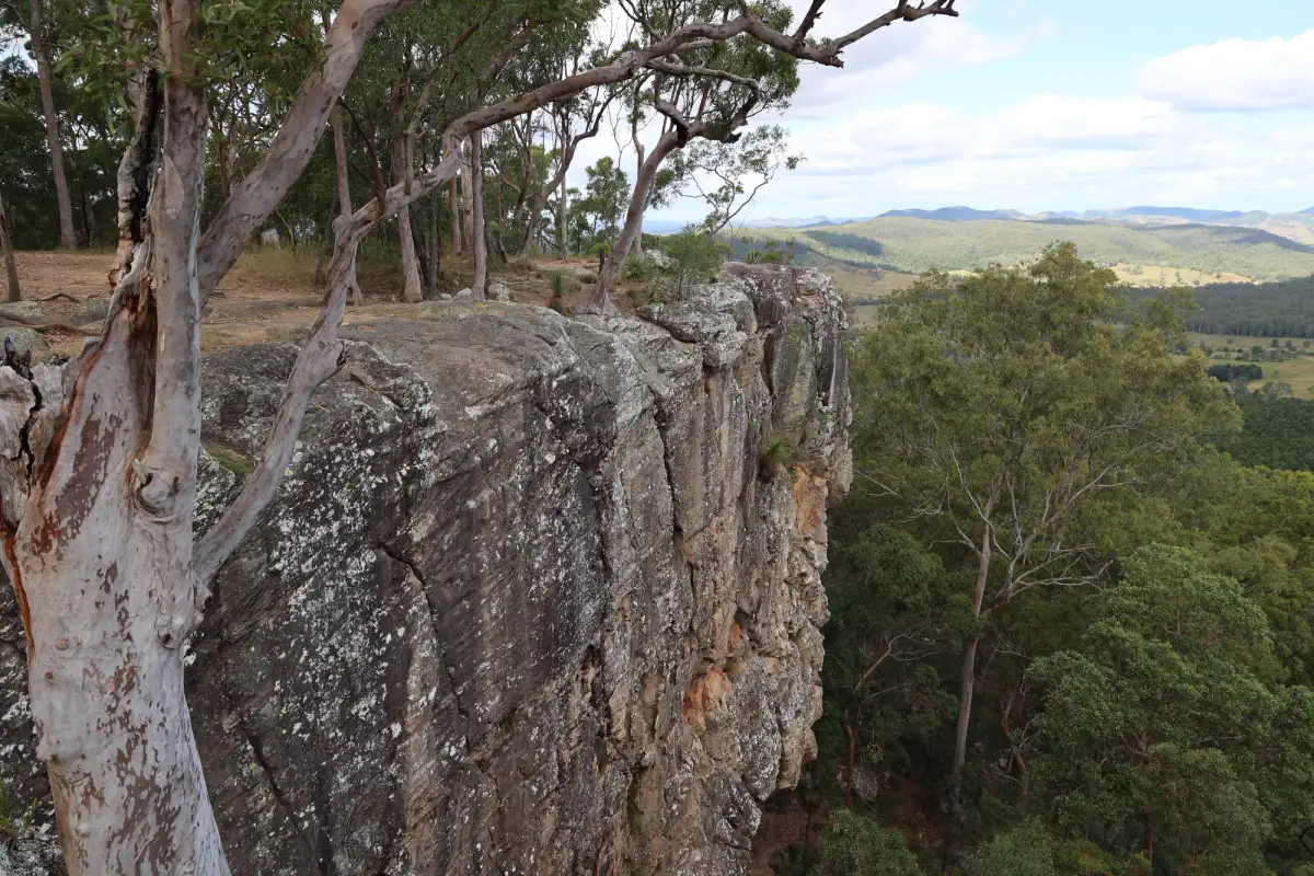 Lookout in Brooyar State Forest
