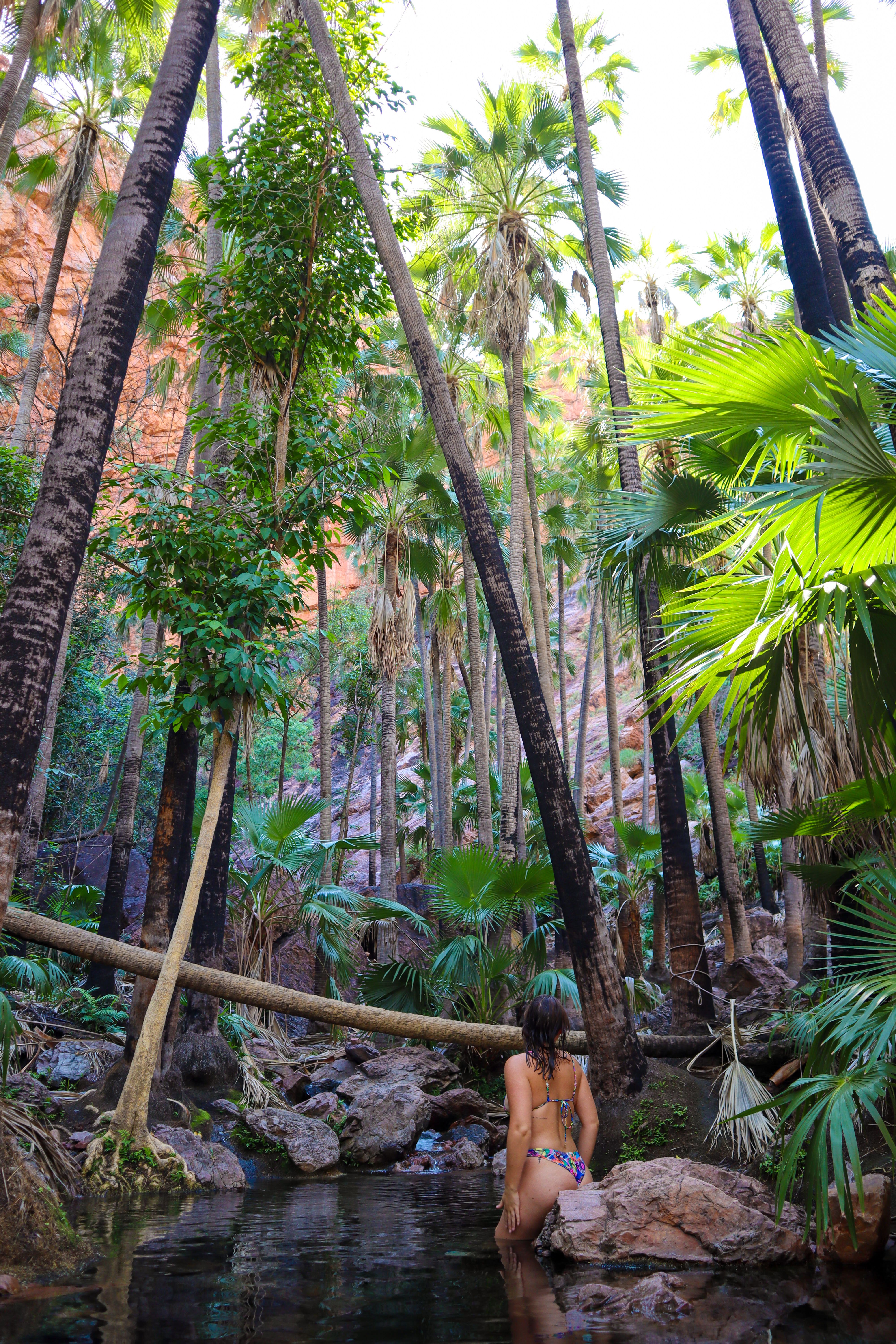 a woman in a billabong in a rainforest