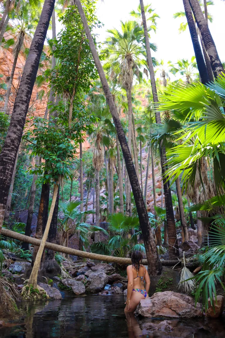a woman in a billabong in a rainforest