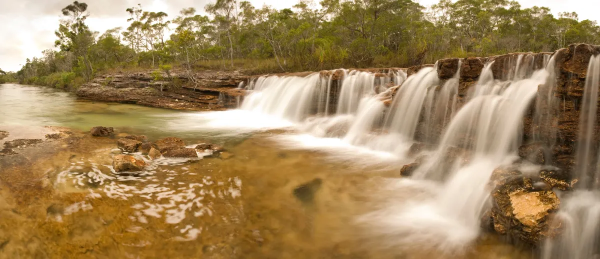 fruit bat falls cape york old telegraph track