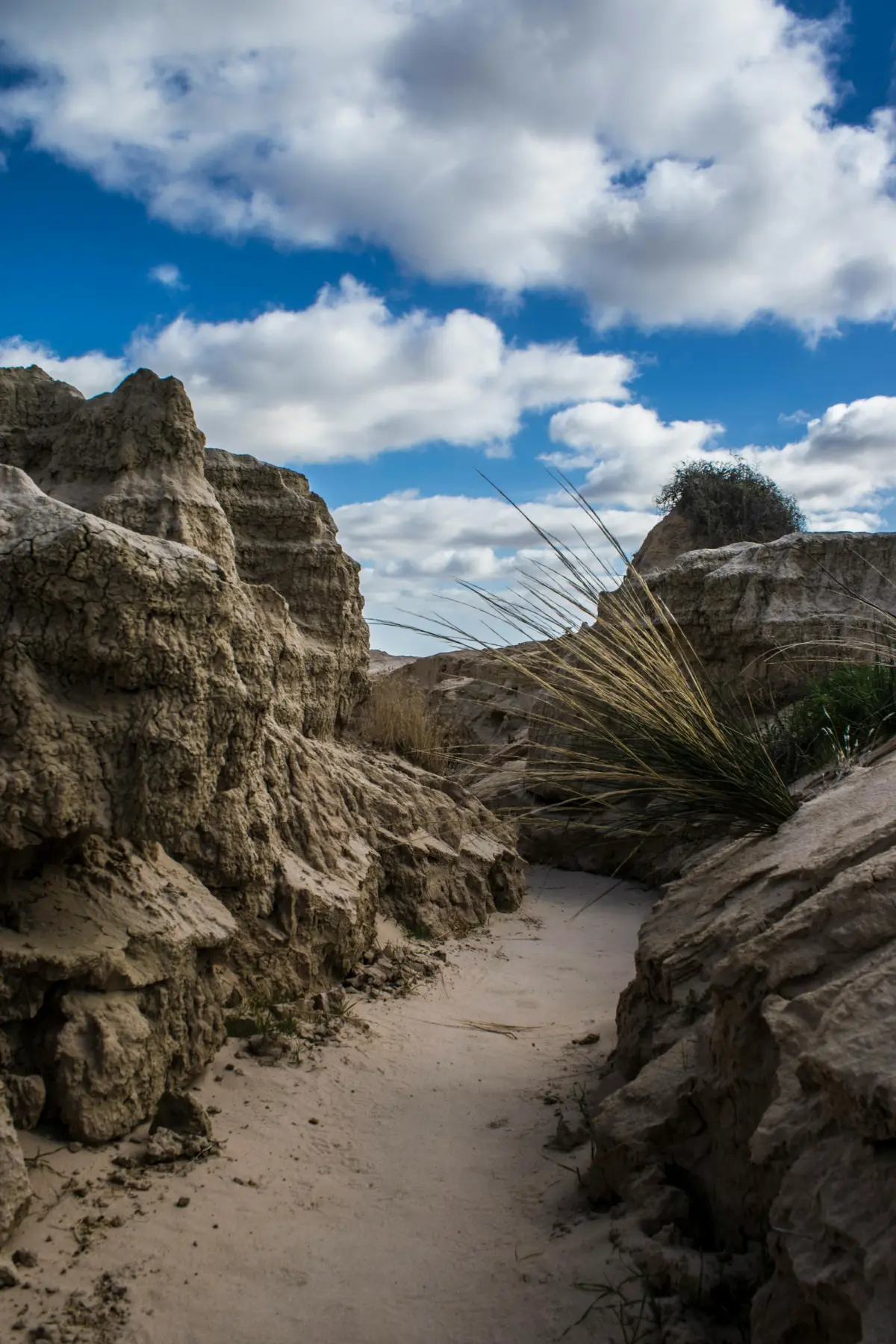 Walls of China, Mungo National Park, NSW