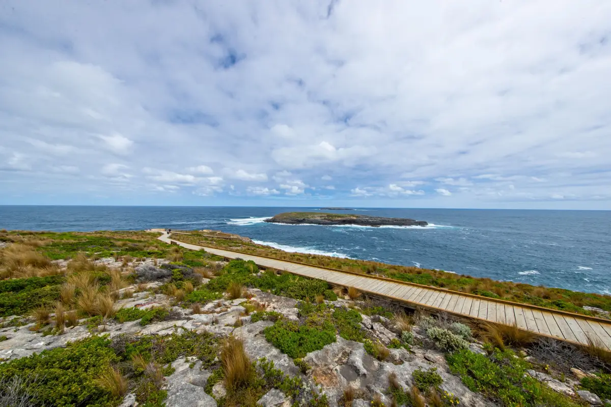 kangaroo island coastline