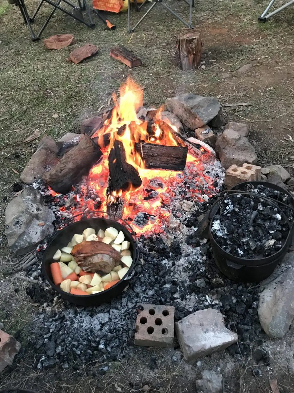 A tree in front of a sunset Description automatically generated