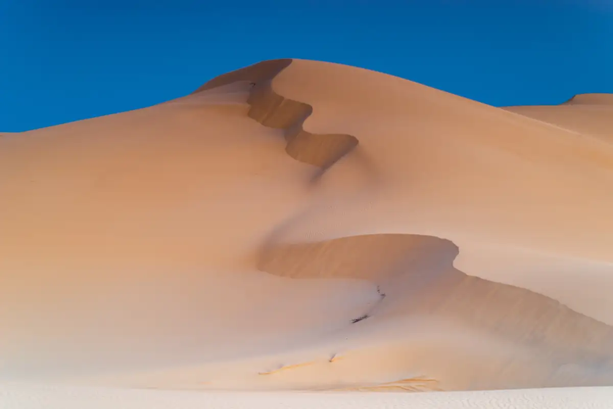 Stockton Beach sand dune