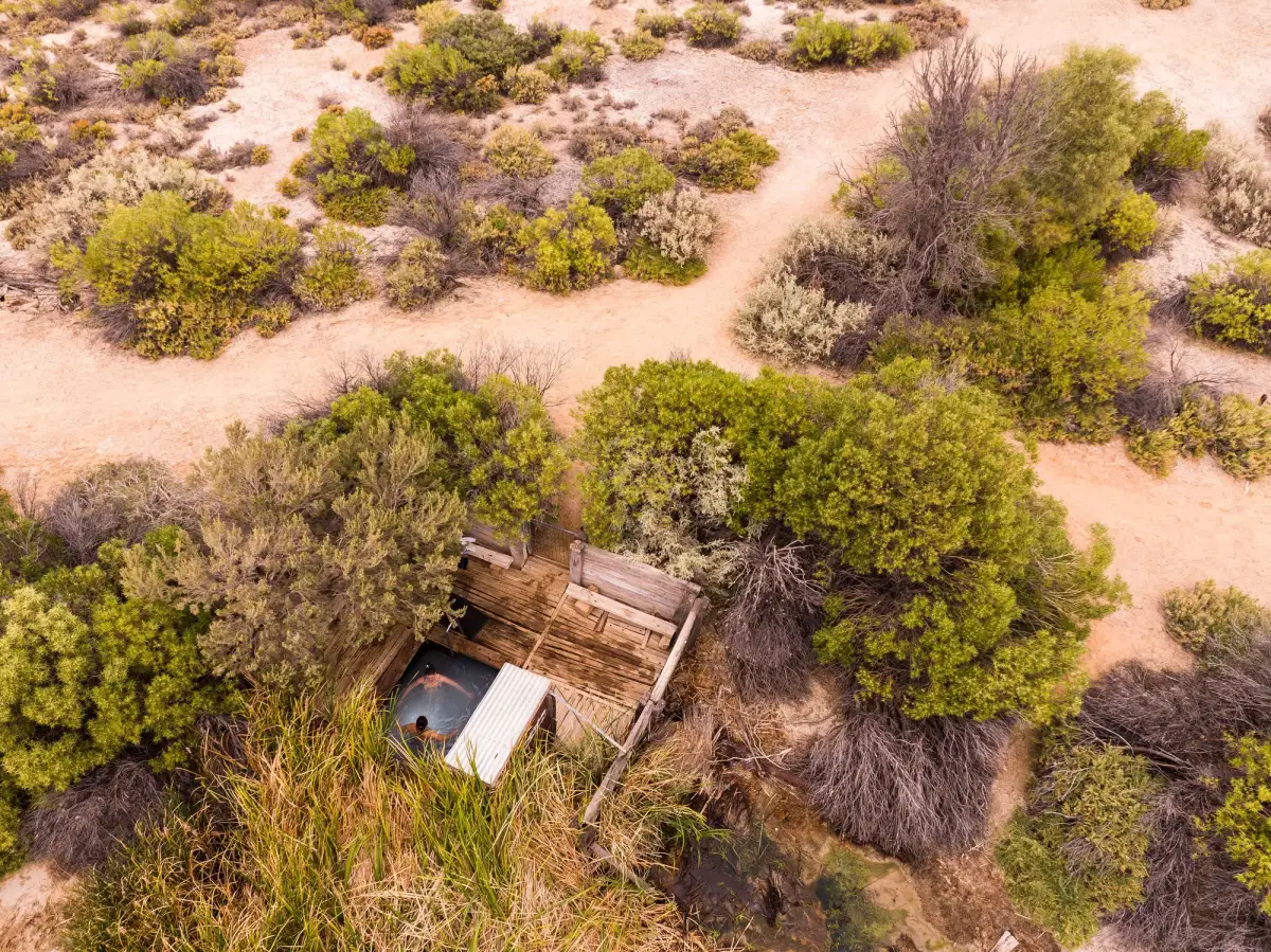remote hot spring coward springs oodnadatta