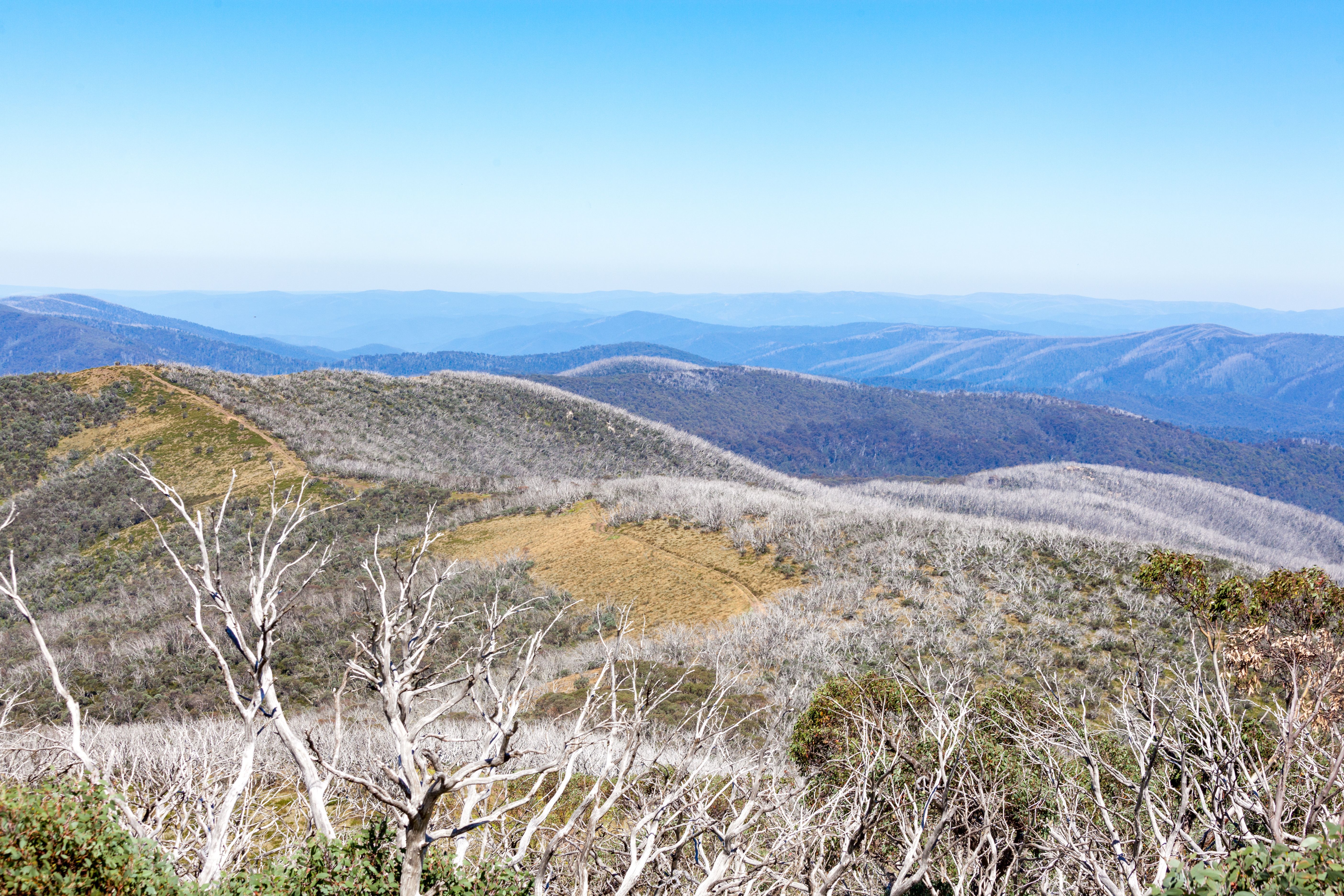 Victoria High Country landscape