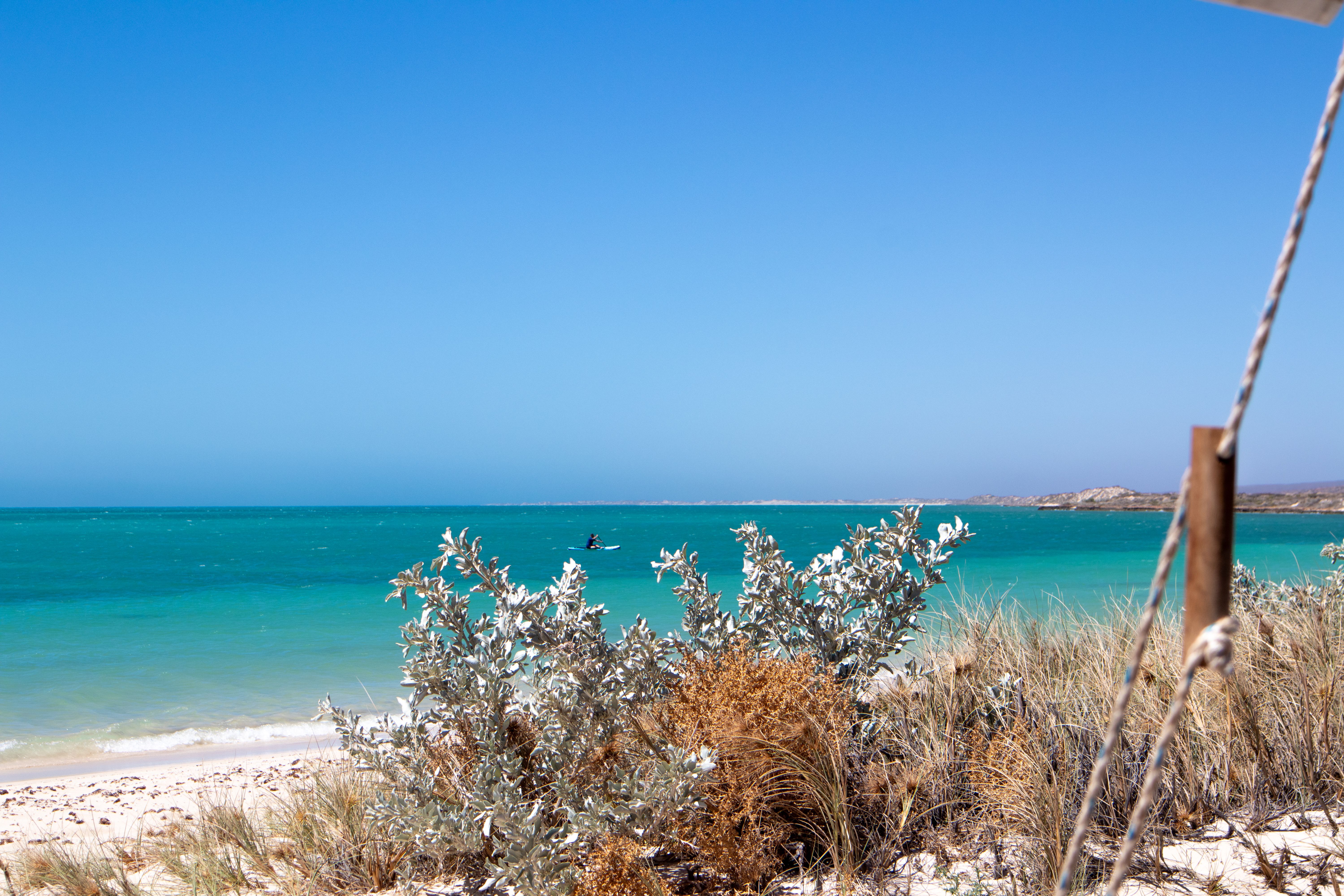 person stand up paddle boarding at beach