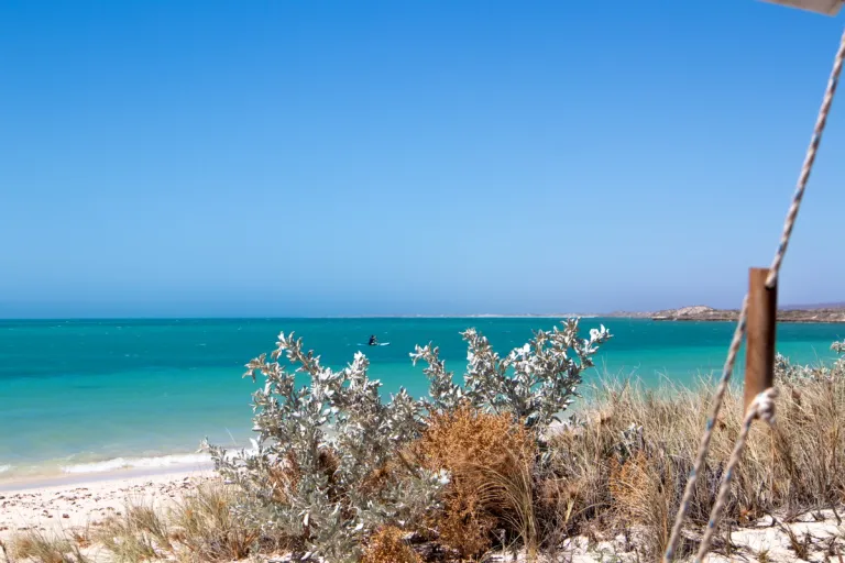 person stand up paddle boarding at beach