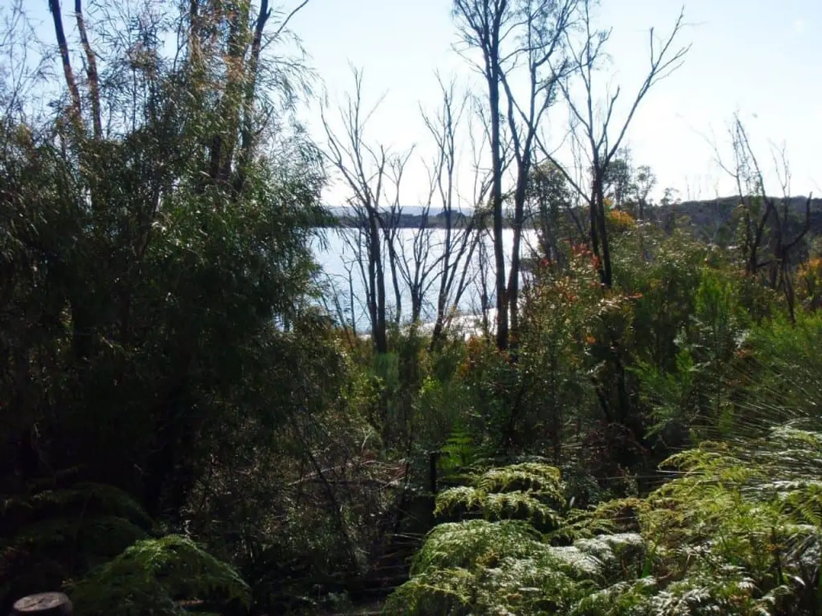 Camping at Lake Jasper