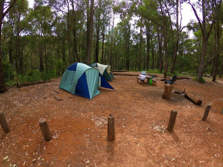 Stringers camping
