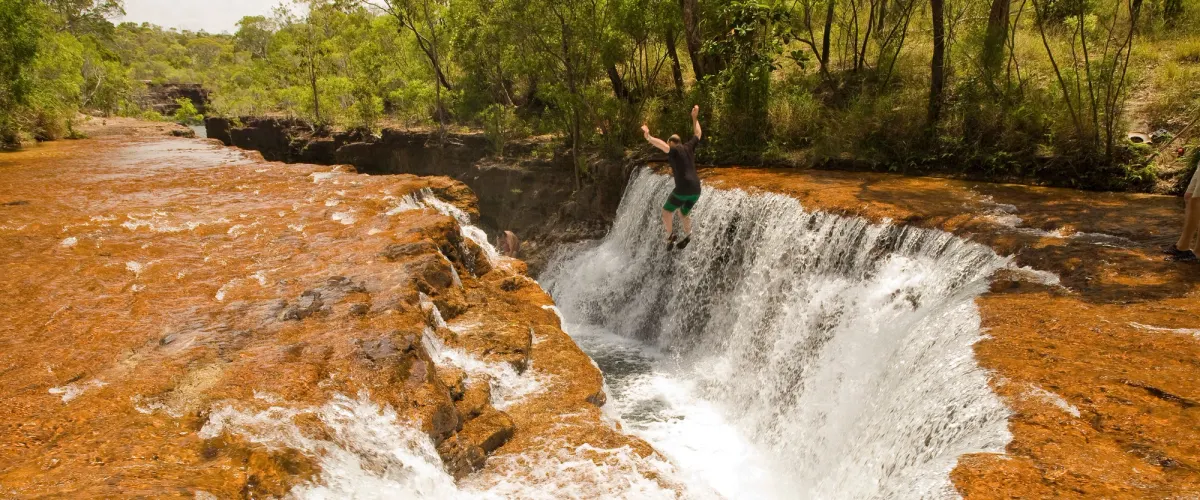 fruit bat canals and water falls cape york