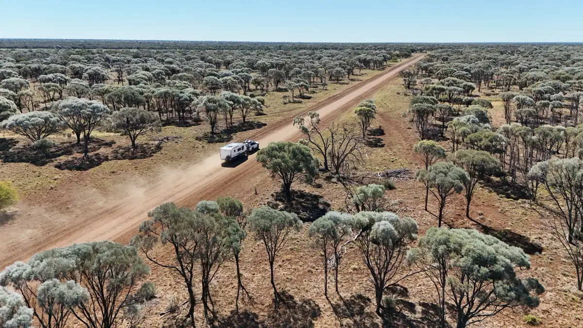 a vehicle driving through a dusty road with sparse trees